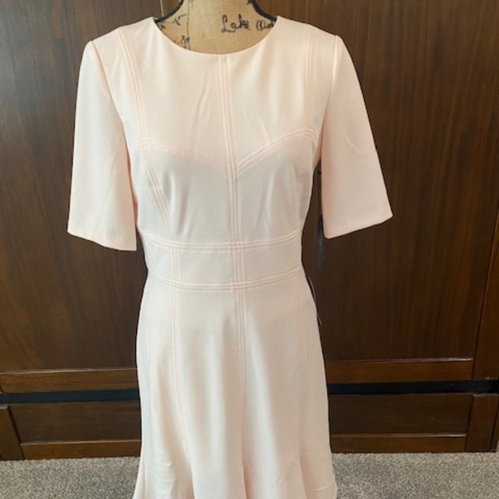 Vince Camuto Blush Light Pink Dress - Picture 5 of 11